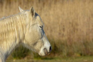 Similar image 21146856