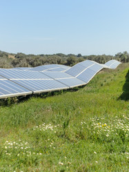 Similar image 21146859