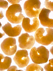 Similar image 21149007