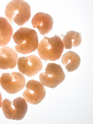 Similar image 21149008