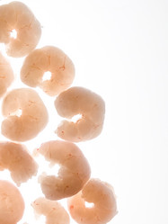 Similar image 21149009