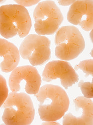 Similar image 21149010