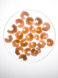 Similar image 21149011