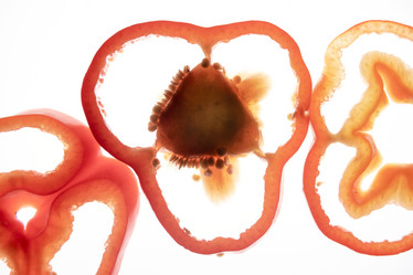 Similar image 21149019