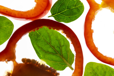 Similar image 21149030