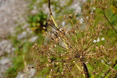 Similar image 21153226