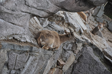 Similar image 21153228