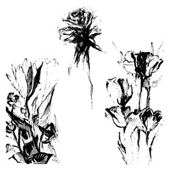 Similar image 21153233