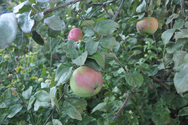 Similar image 21153238