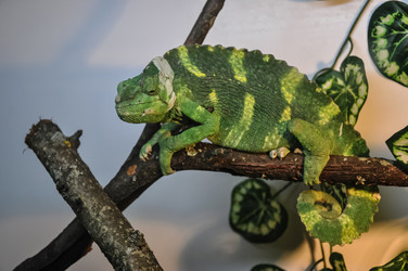 Similar image 21153239