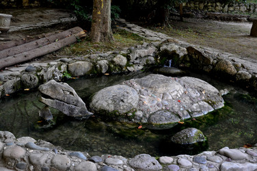 Similar image 21153240