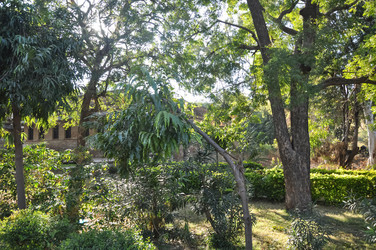 Similar image 21153242