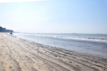 Similar image 21153244