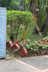 Similar image 21153247