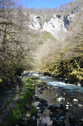 Similar image 21153248