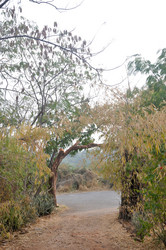 Similar image 21153252