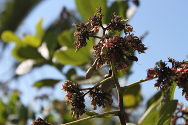 Similar image 21153256