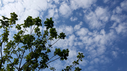 Similar image 21153917