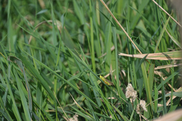 Similar image 21153918