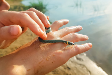 Similar image 21147326