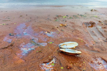 Similar image 21147327