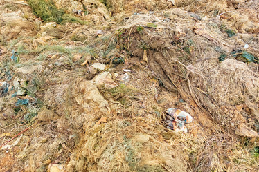 Similar image 21147328