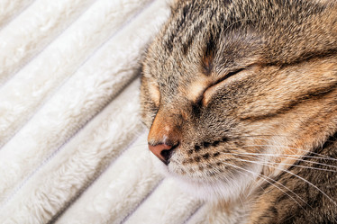 Similar image 21147338