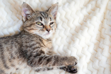 Similar image 21147435