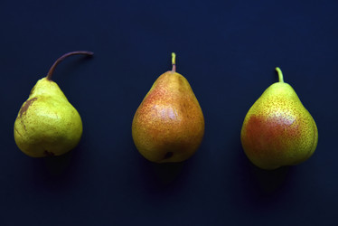 Similar image 21148194