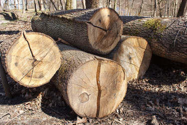 Similar image 21148568