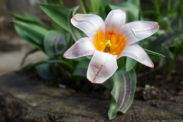 Similar image 21148569