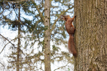 Similar image 21148572