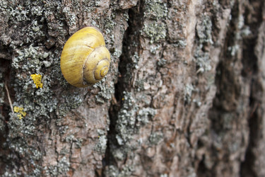 Similar image 21148573