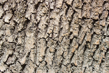 Similar image 21148580