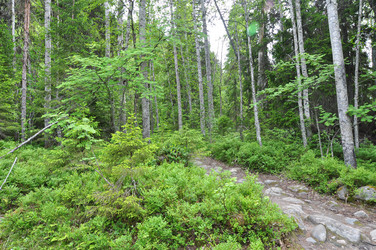 Similar image 21153272