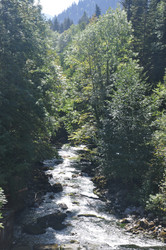 Similar image 21153274