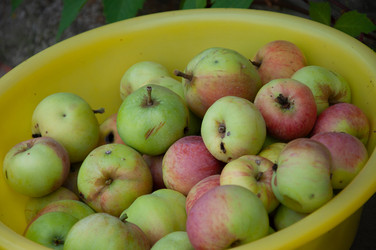 Similar image 21153278