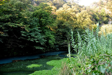 Similar image 21153280