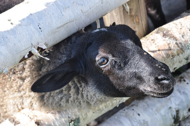 Similar image 21153281