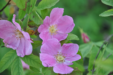 Similar image 21153283