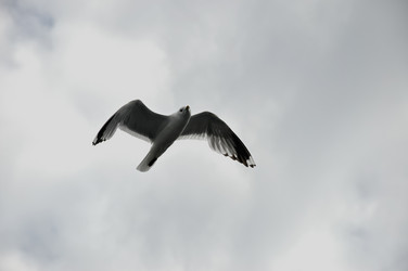 Similar image 21153285