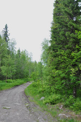 Similar image 21153286