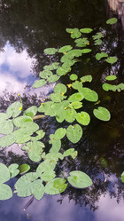 Similar image 21153289