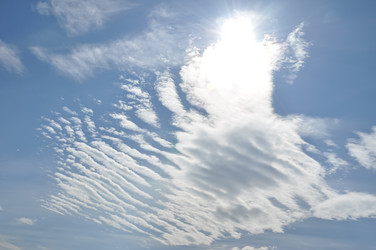 Similar image 21153292