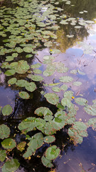 Similar image 21153294