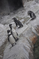 Similar image 21153295