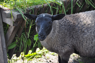 Similar image 21153297