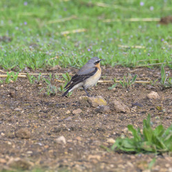 Similar image 21149037