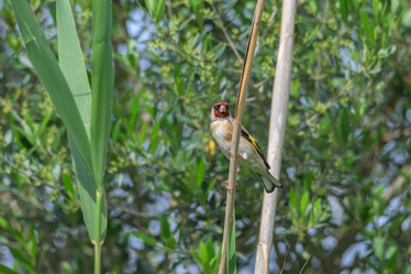 Similar image 21149051