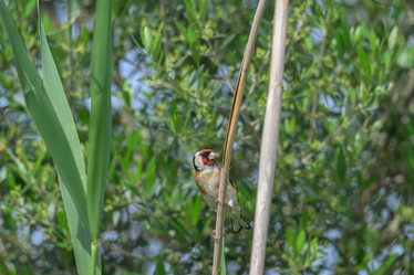 Similar image 21149056